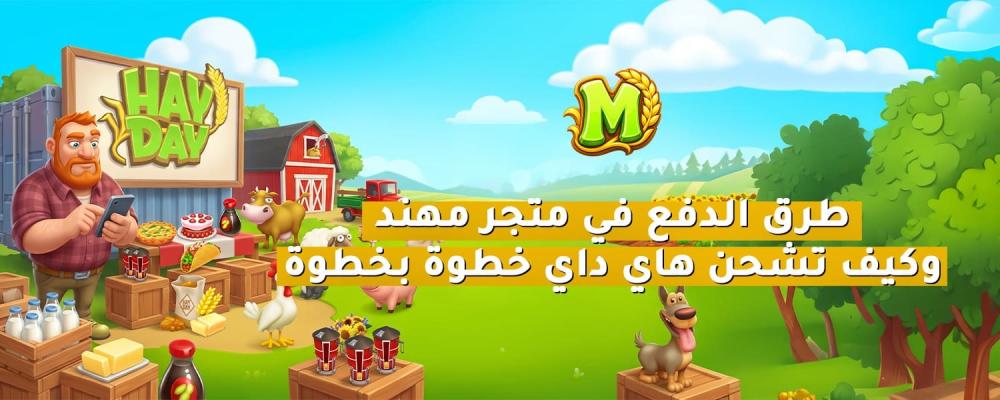 طرق دفع شحن هاي داي