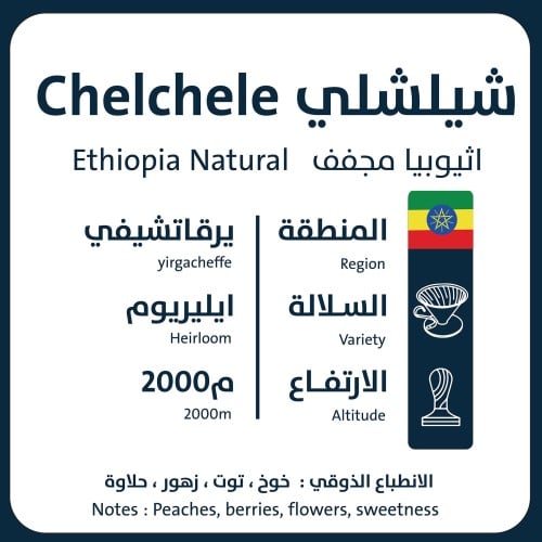 شيلشلي - اثيوبيا 1KG