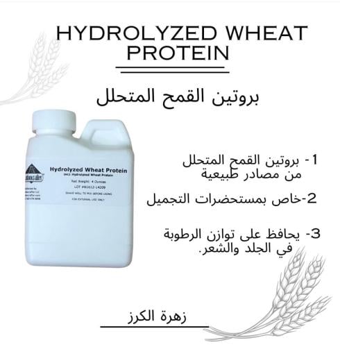 بروتين القمح المتحلل