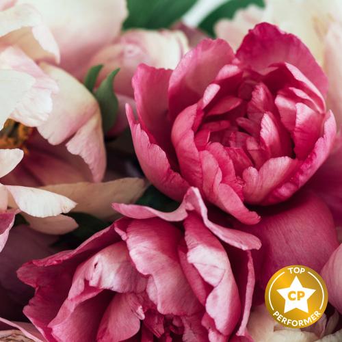 زيت عطري الفوانيا مع العنبر 100 مل