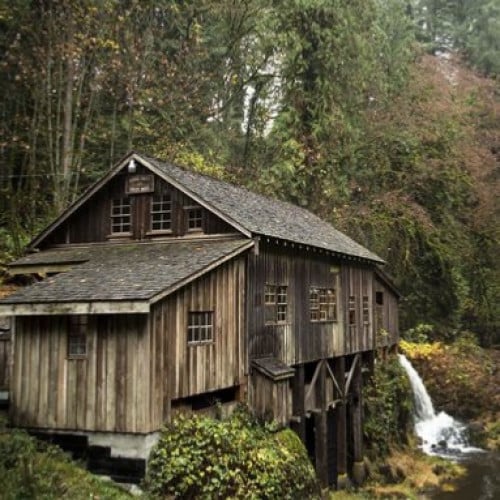 زيت عطري خشب الارز والعنبر من برامبل بيري 4 اوزا