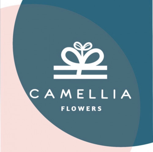 camellia-saa.com