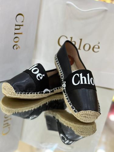 شوز موديل 556