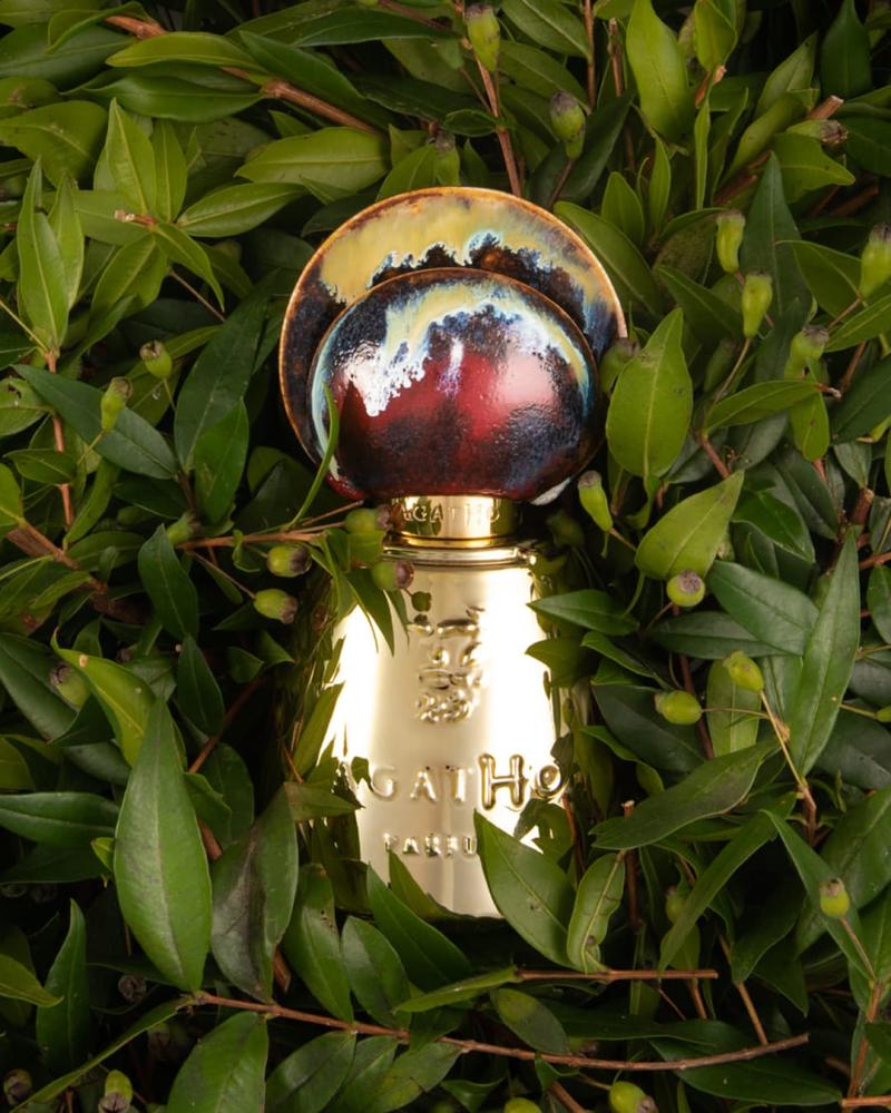 【極希少・限定品】Agatho Parfum｜Castiamanti Castiamanti Agatho Parfum - qamar perfume