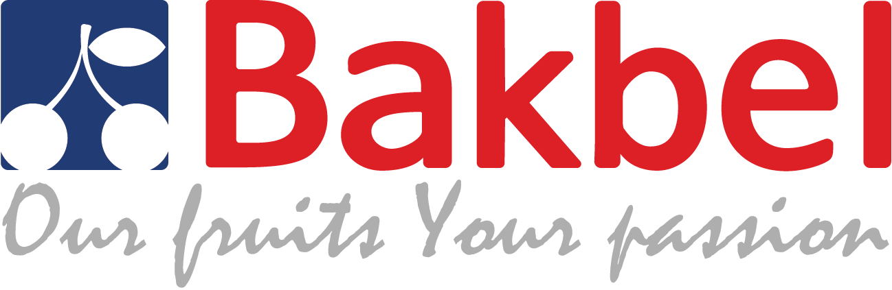 Bakbel