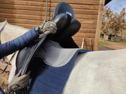 وسادة جل للسرج