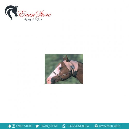 عراقة مذبح بالإذنين (وسط)