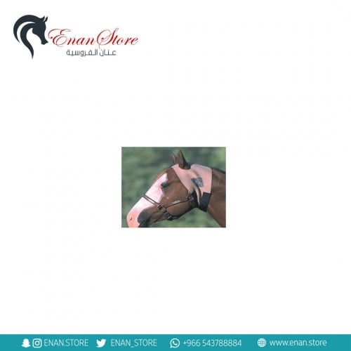 عراقة مذبح بالإذنين (صغير)