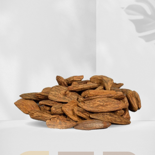 مروكي محسن ترابي