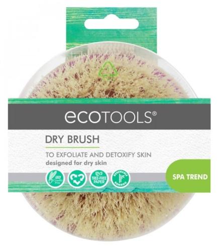 فرشاة جسم جافة للتقشير والديتوكس من إيكو تولز.  Ecotools