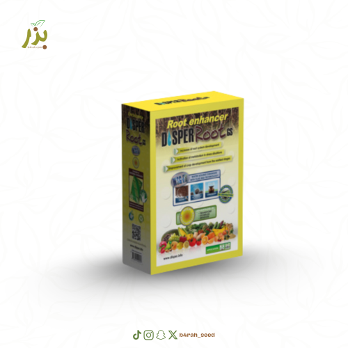 محفز الجذور ديسبر روت DSPER Root GS