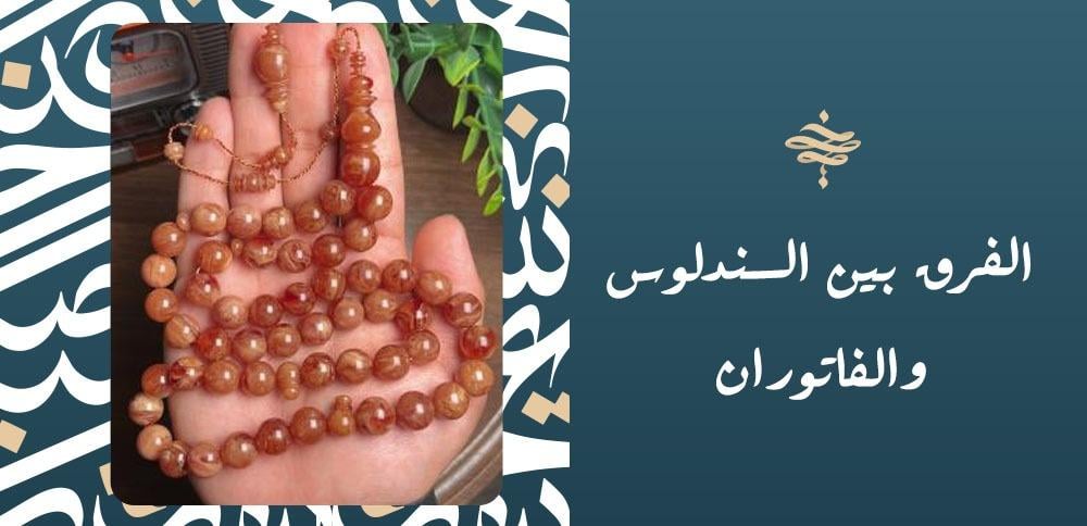 الفرق بين السندلوس والفاتوران