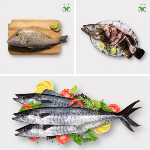 Fish boxes Magadi app Fresh Local Lamb Goat and Beef Delivered to Your Door i