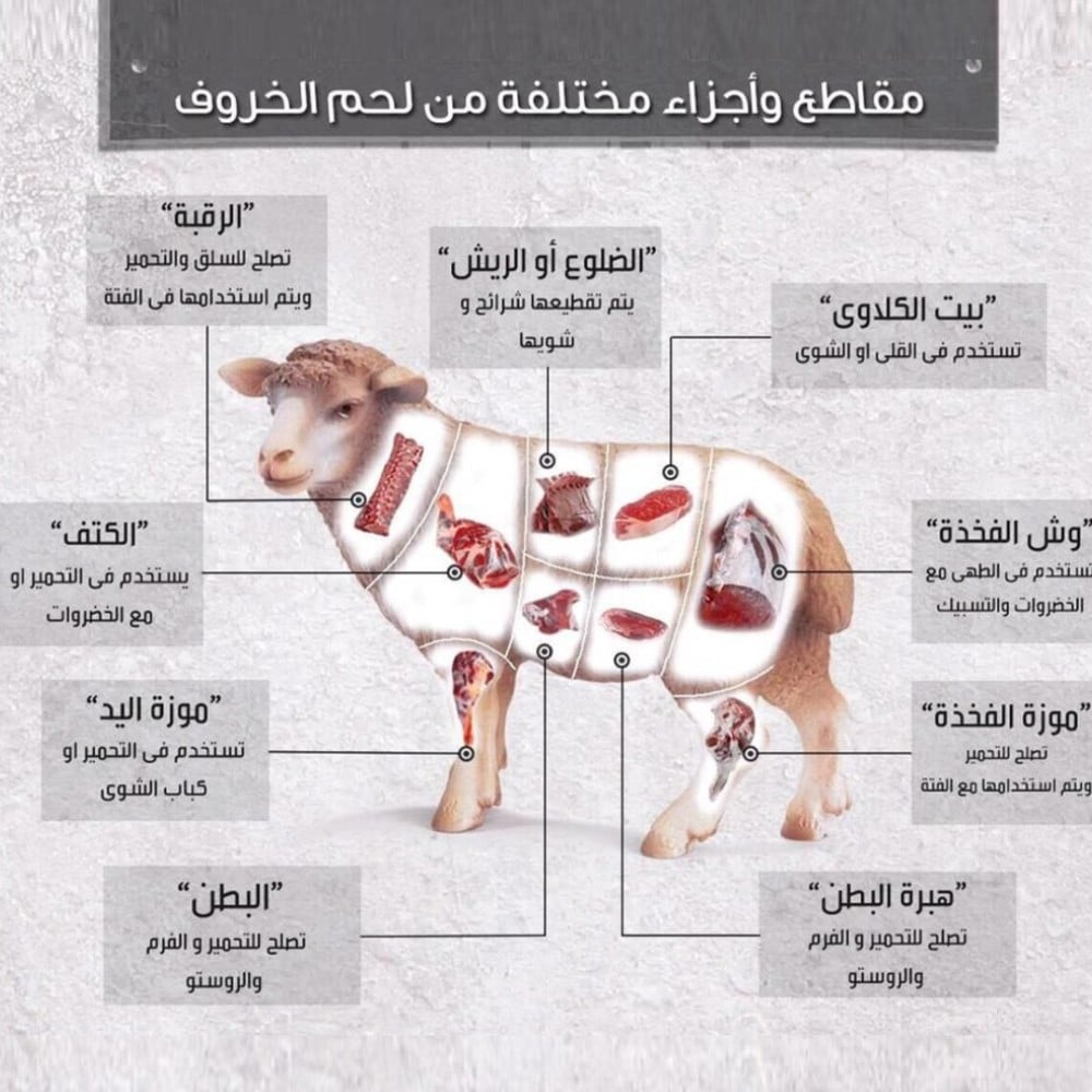 انواع قطعيات لحم الغنام او الخروف
