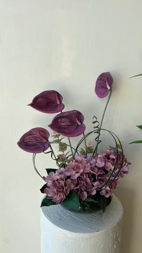 فازه كلاسيك