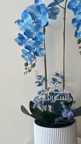 فازه كلاسيك