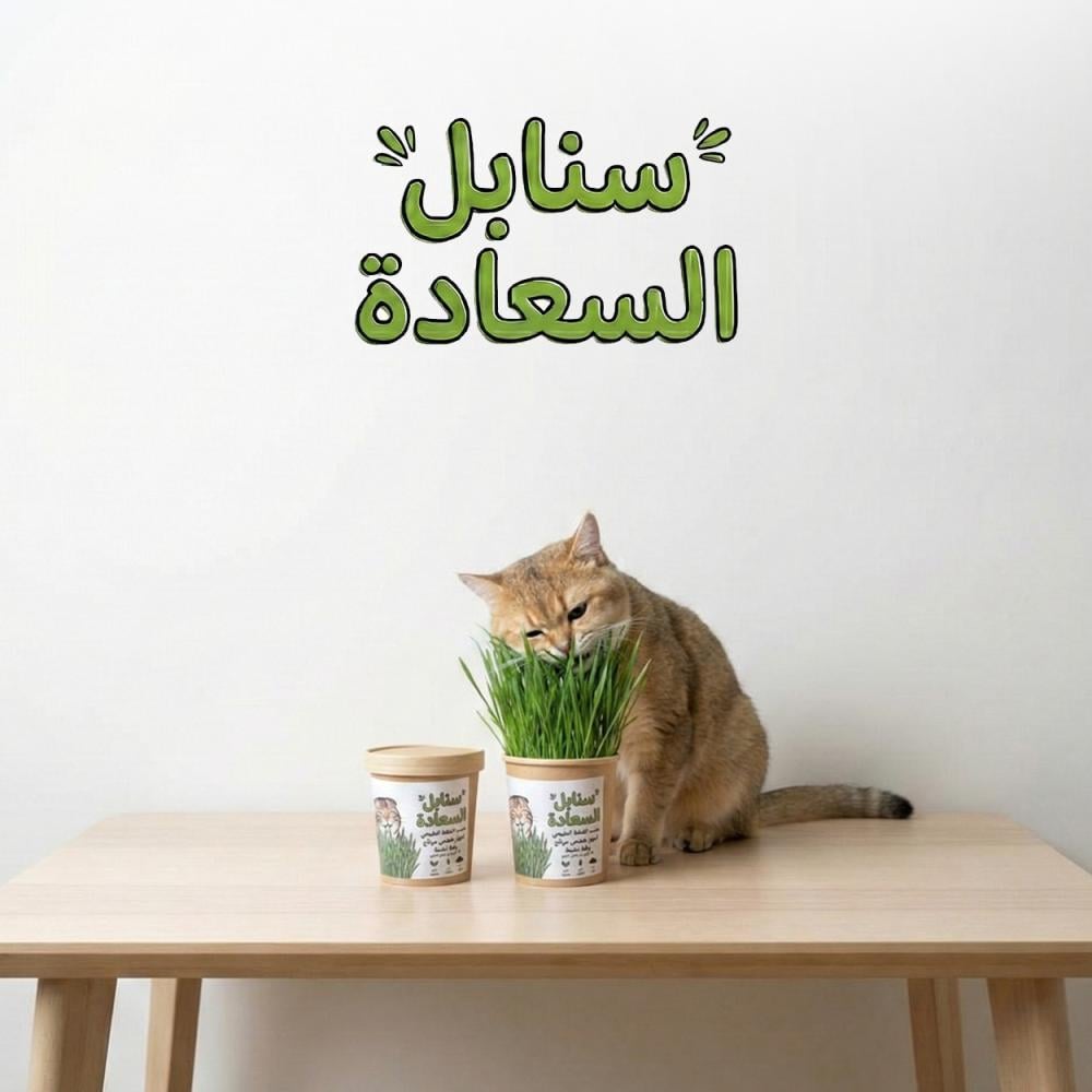 عشبة القمح العضوية للقطط