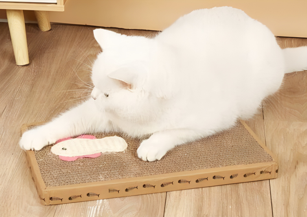 خداشة كرتونية للقطط