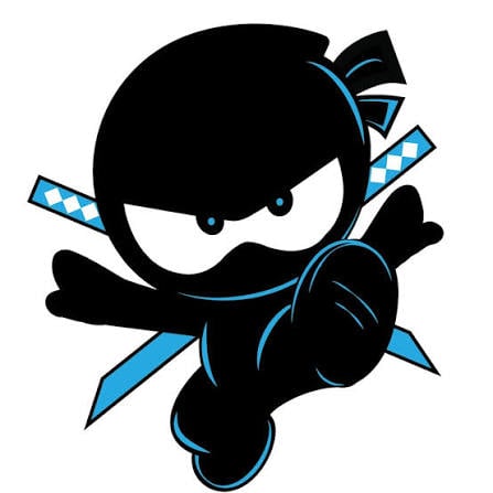 Ninja Kidz