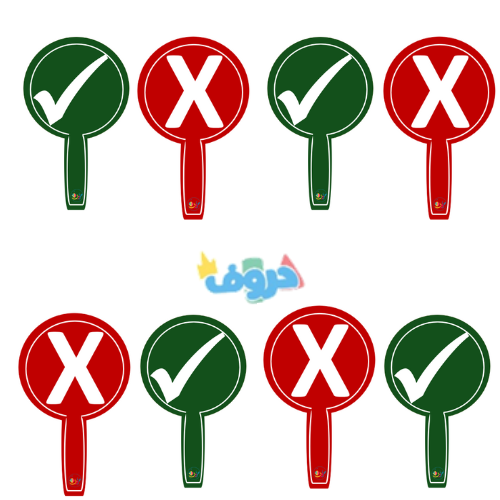 بطاقات صواب وخطأ ( 4 بطاقات ) أمام وخلف