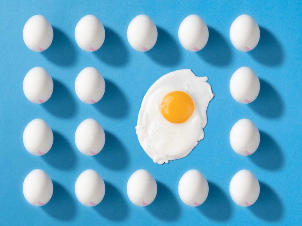 كرتون البيض