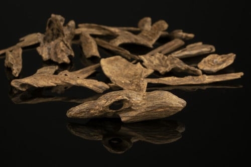 عود ماليزي طبيعي