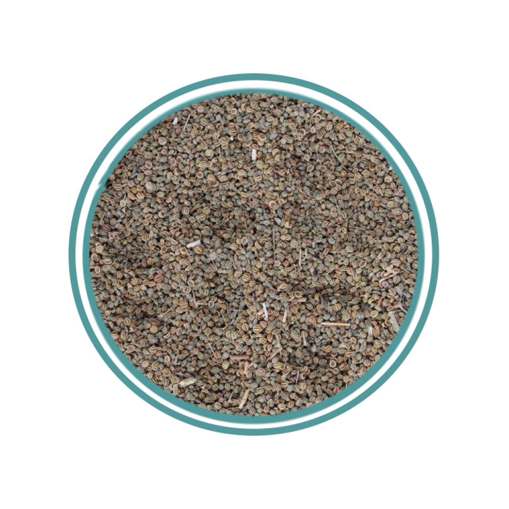 بذور الكرفس