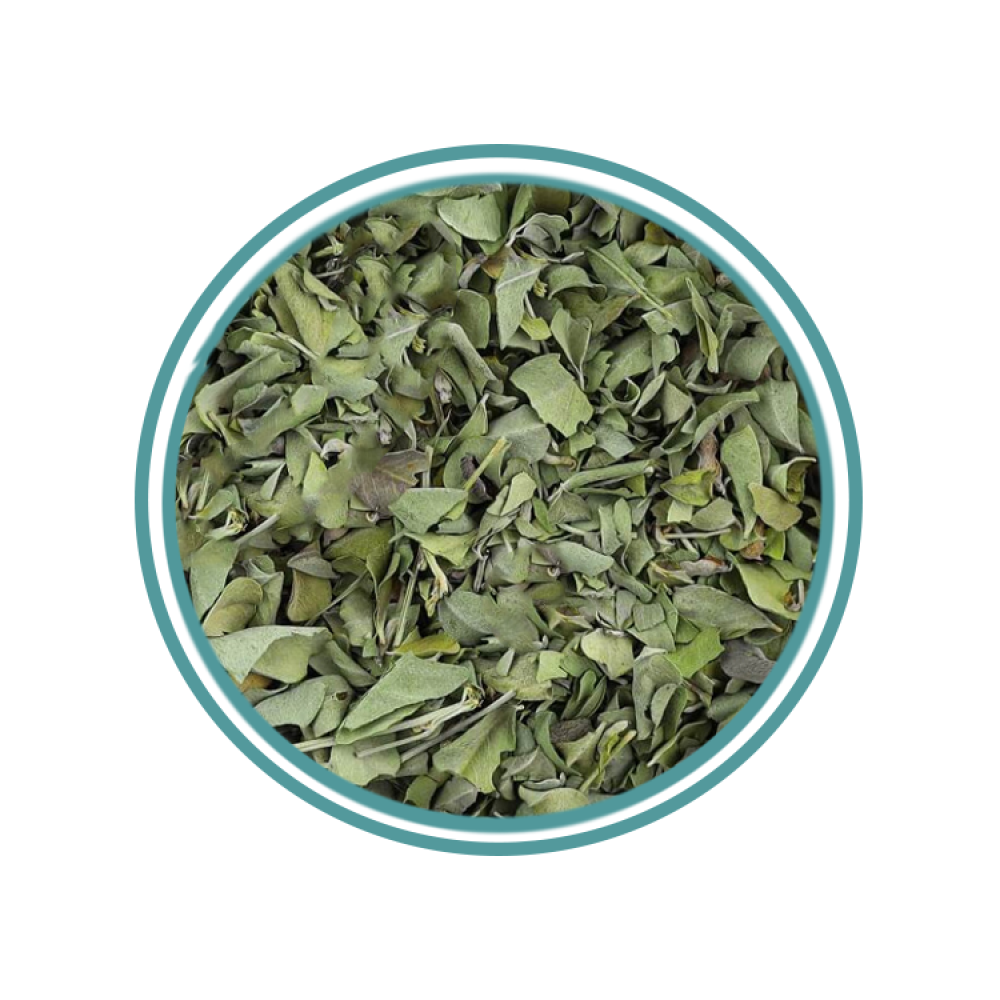 عشبة الوسمة ورق