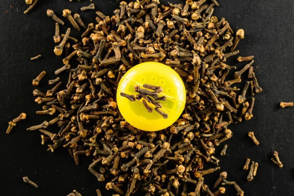 زيت القرنفل: فوائده المتعددة وكيفية استخدامه