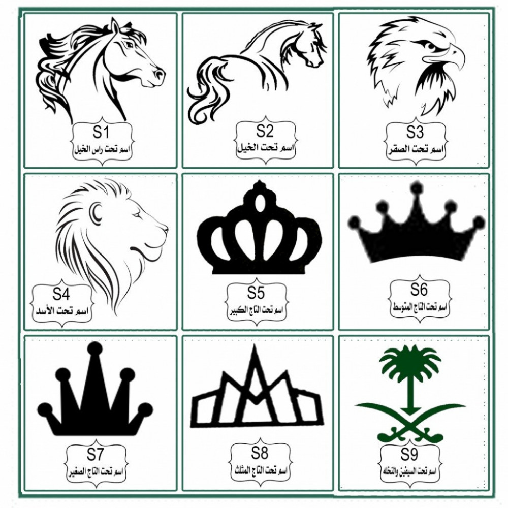 سديري البشت فضي