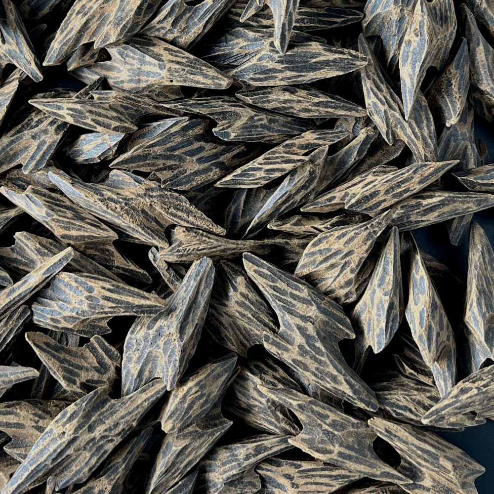 ما هو «تايقر كمبودي»؟ دليلك الكامل لفهم عود كمبودي تايقر الأصلي