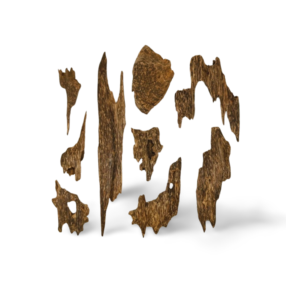 سيوفي فتنامي تربل سوبر