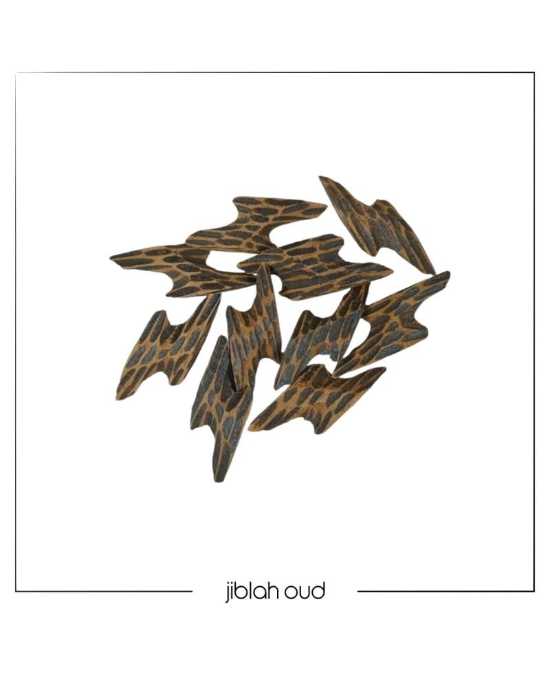 تايقر كمبودي - الملكي الاصلي بافضل سعر