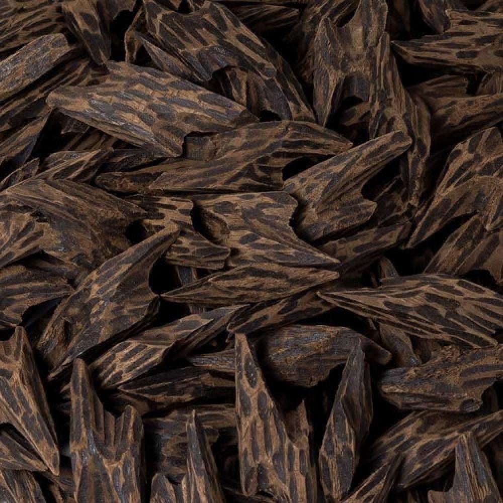 اختيار الكمية المثالية من «تايقر كمبودي» حسب أسلوب حياتك