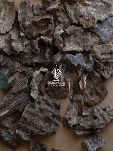 هندي آسام تربل سوبر: نقاء العود الهندي الأصلي - مقدمة