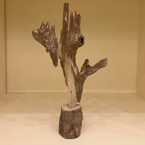 ديكور عود طبيعي