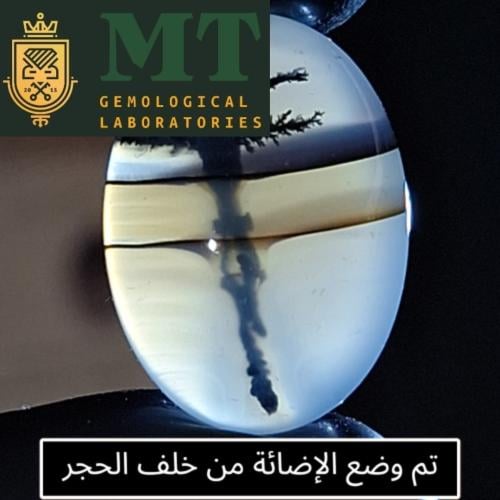 حجر عقيق شجري طبيعي مفحوص و موثق بشهادة مختبر