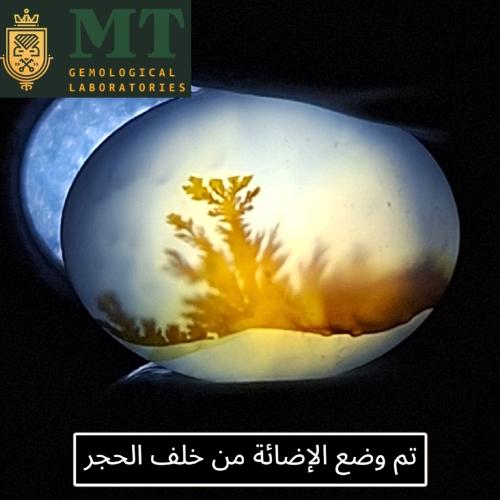 حجر عقيق مشجر طبيعي مفحوص و موثق بشهادة مختبر