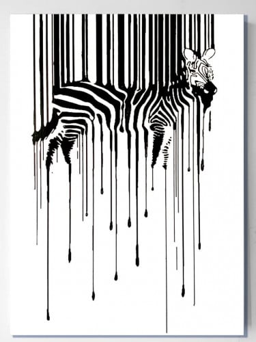 ZEBRA IN WHITE