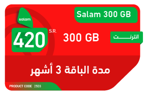 سلام 300 GB ثلاث شهور