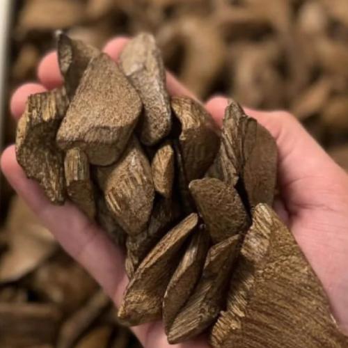 عود أرياني فاخر