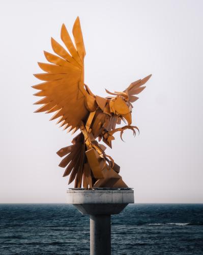 (18) نسر جدة .. 30*40 cm