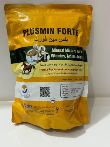 بلس مین فورت