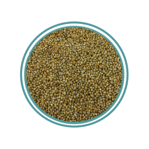 دخن هندي ( حسب الطلب )