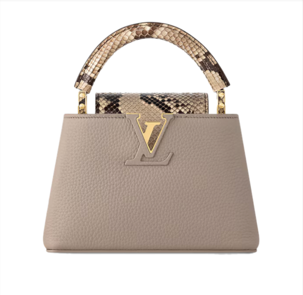 شنطة لويس ڤيتون | Louis Vuitton