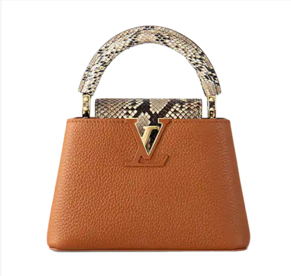 شنطة لويس ڤيتون | Louis Vuitton