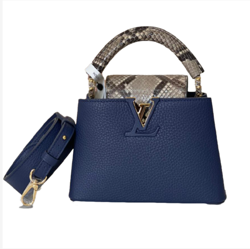 شنطة لويس ڤيتون | Louis Vuitton