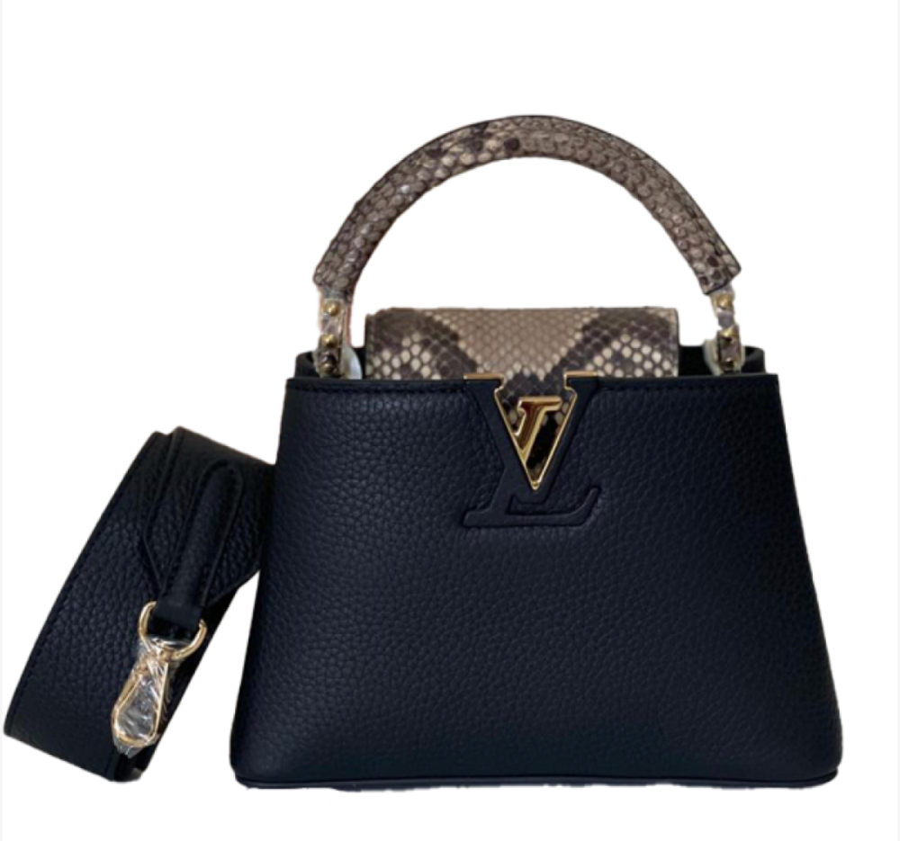 شنطة لويس ڤيتون | Louis Vuitton