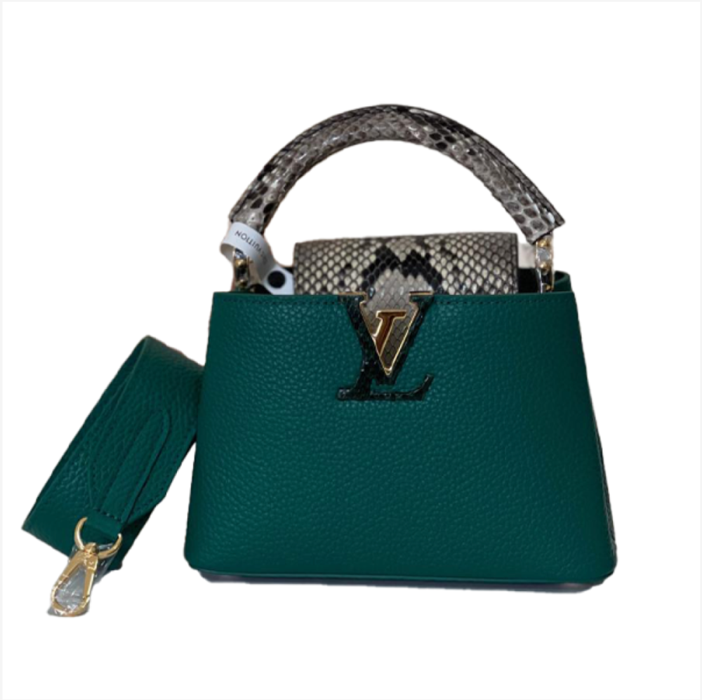 شنطة لويس ڤيتون | Louis Vuitton