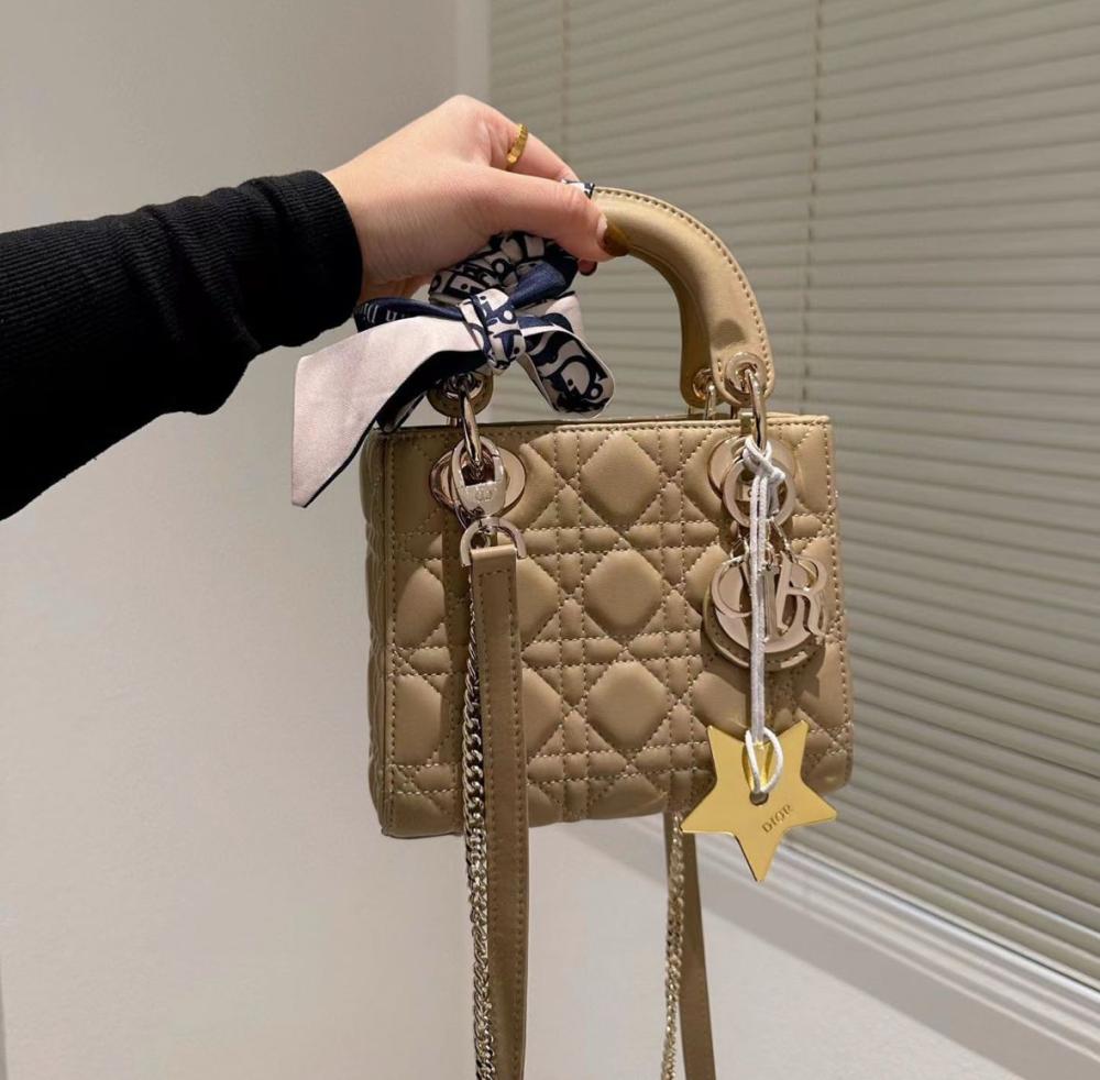 شنطة يد نسائية  صغيرة  ماركة ديور